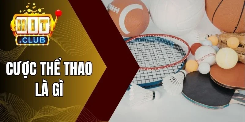 Các kèo ngon trong cược thể thao 